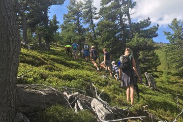 Hiking