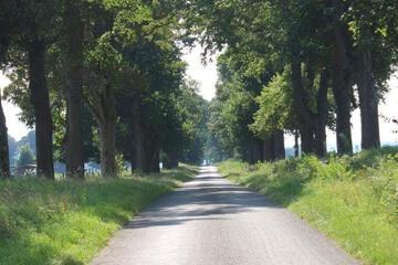 Photo 66