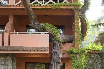 Building design