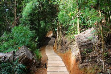Hiking