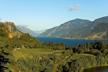 Winery