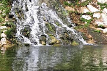 Photo 27