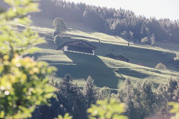 Land view from property