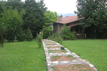 Photo 46
