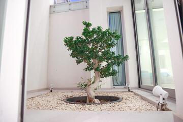 Photo 50