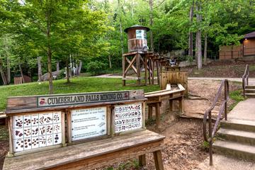 Children's activities