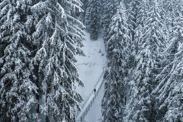 Snowshoeing