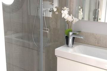 Cleanliness standards