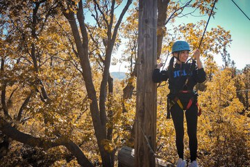 Ropes course (team building)