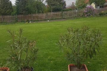 Photo 30