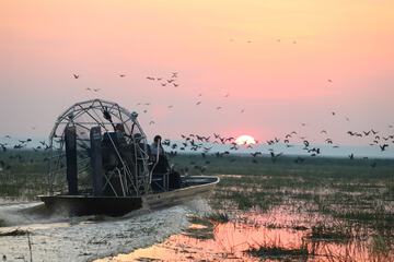Game viewing