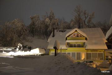 Photo 44