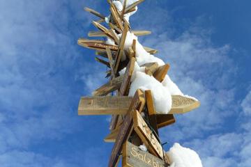 Photo 46