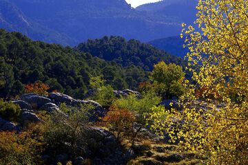 Mountain view