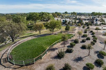 Pet-friendly amenities