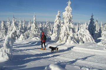 Snowshoeing