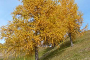 Photo 45