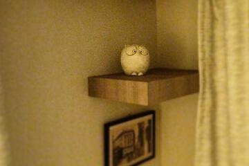 Owl