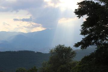 Photo 27