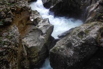 Photo 53