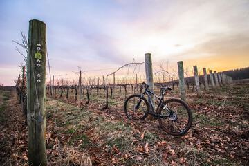 Bicycling