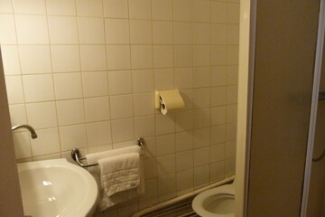 Bathroom sink
