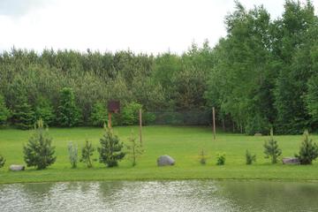 Photo 54