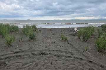 Beach/ocean view