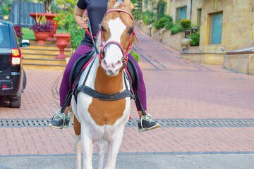 Horseback riding