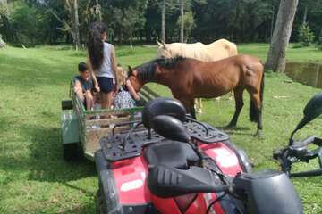 Ecotours
