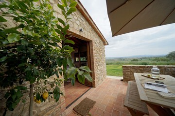 Garden view