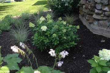 Photo 43
