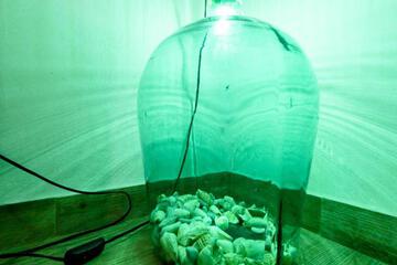 Photo 58