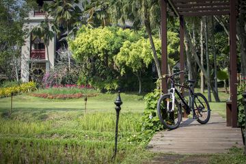 Bicycling