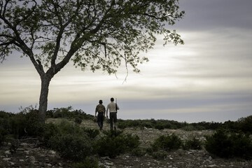 Hunting