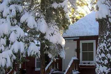 Photo 50