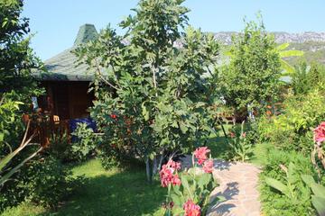 Photo 34