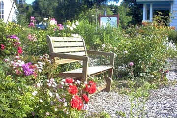 Photo 5