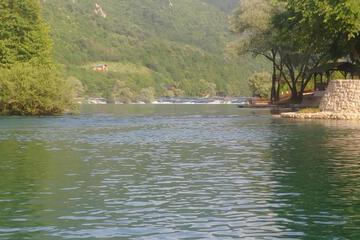 Photo 47