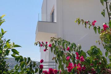 Photo 69