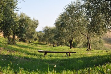 BBQ/picnic area
