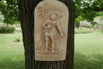 Photo 44