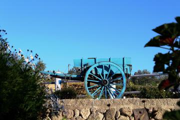 Photo 47