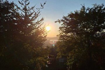 Land view from property