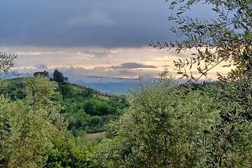 Valley view