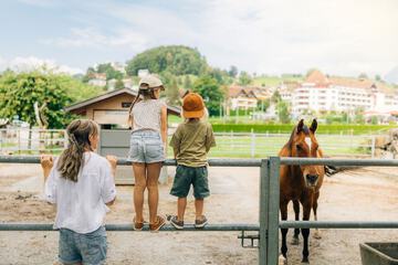 Horseback riding
