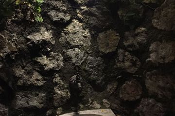 Fountain