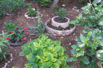 Photo 10