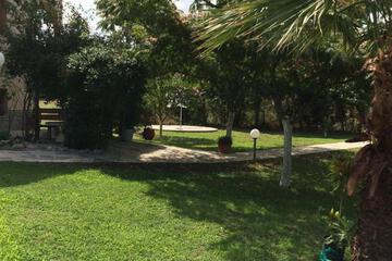 Photo 43