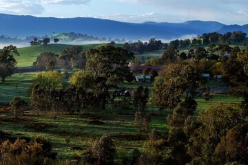 Hill view